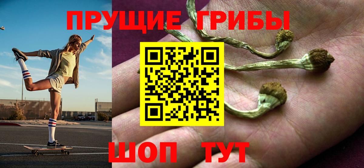 Псилоцибиновые грибы мухоморы Ковров