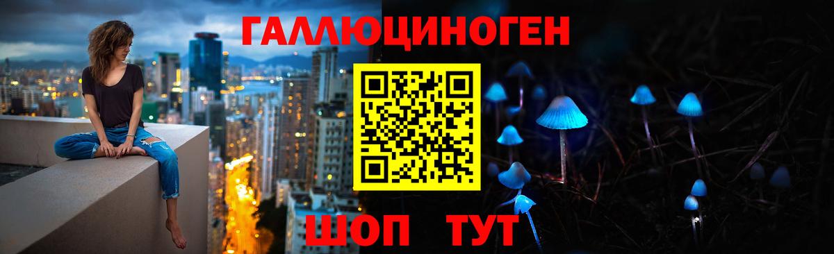 Ковров  Псилоцибиновые грибы Cubensis  Вход с VPN 